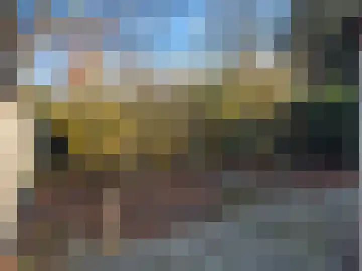 Meeuwenlaan 13 Nieuwerkerk thumbnail 35