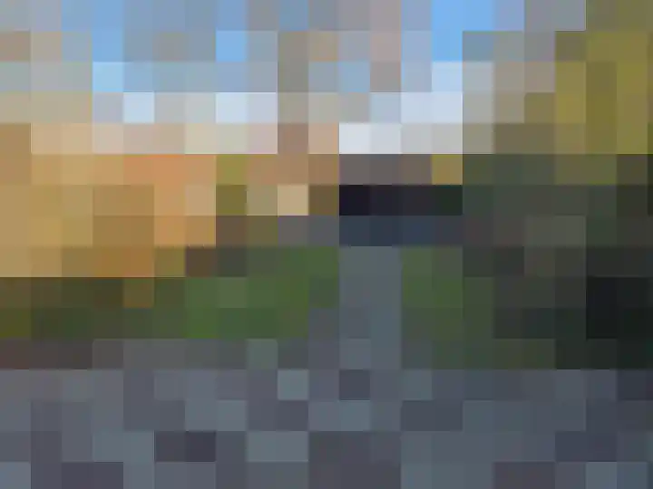 Meeuwenlaan 13 Nieuwerkerk thumbnail 37