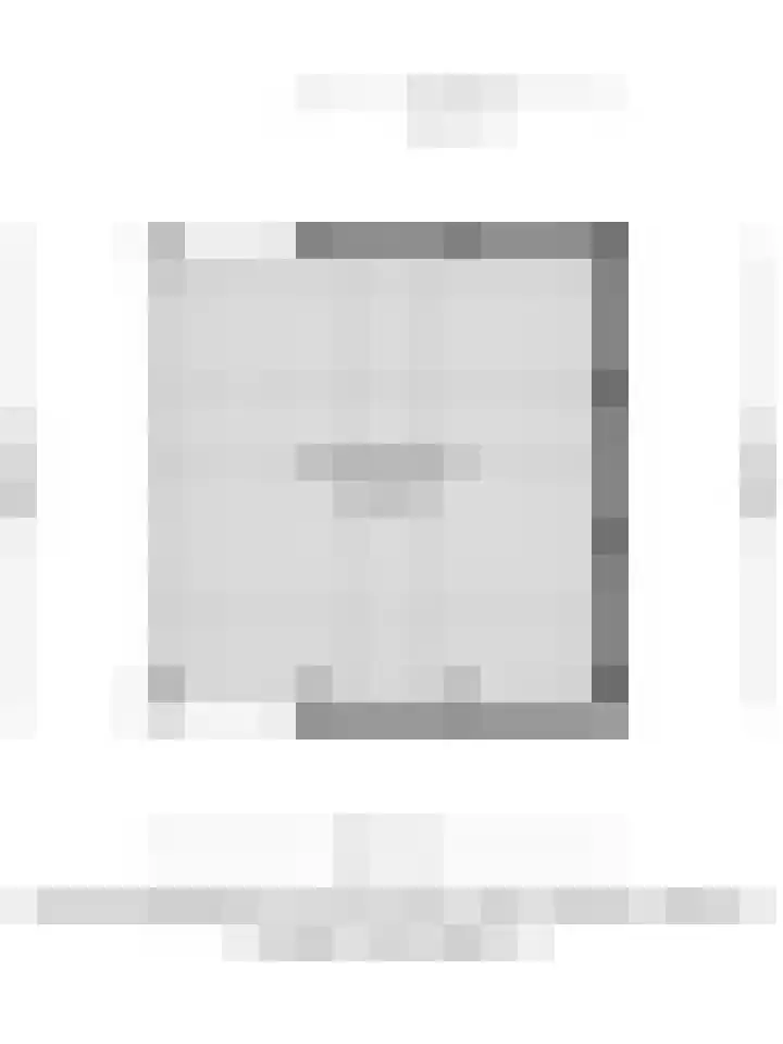 Meeuwenlaan 13 Nieuwerkerk thumbnail 41