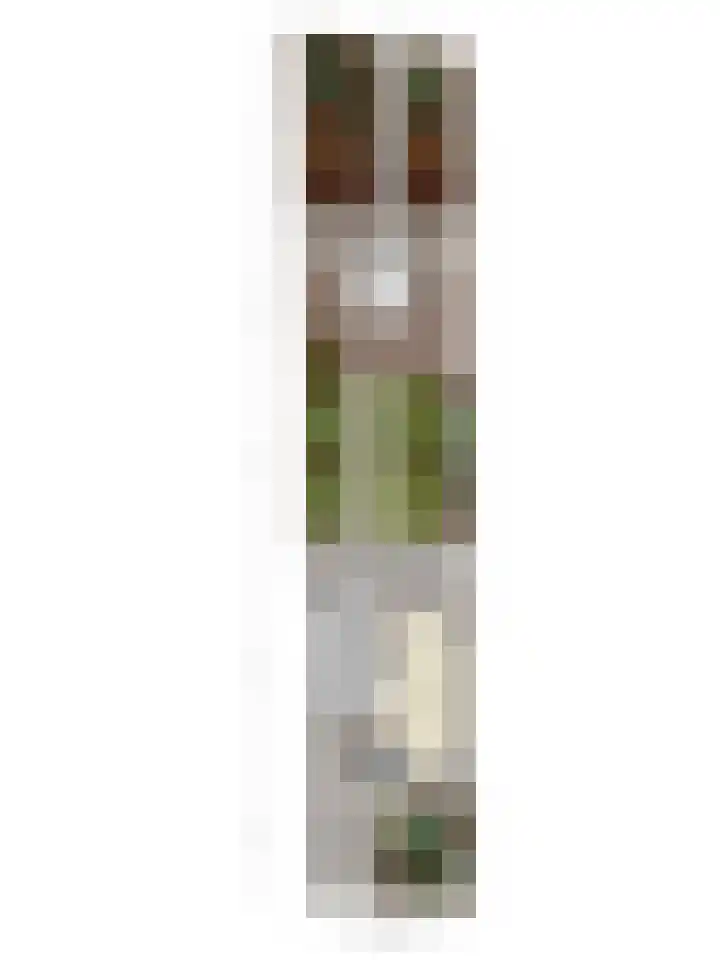 Meeuwenlaan 13 Nieuwerkerk thumbnail 42