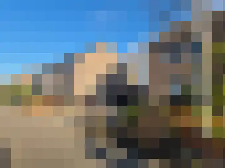 Meeuwenlaan 13 Nieuwerkerk thumbnail 6