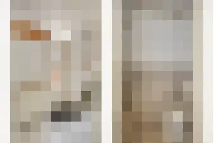 Meeuwenlaan 13 Nieuwerkerk thumbnail 9