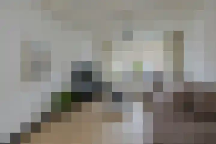 Meeuwenlaan 14 IJmuiden thumbnail 10