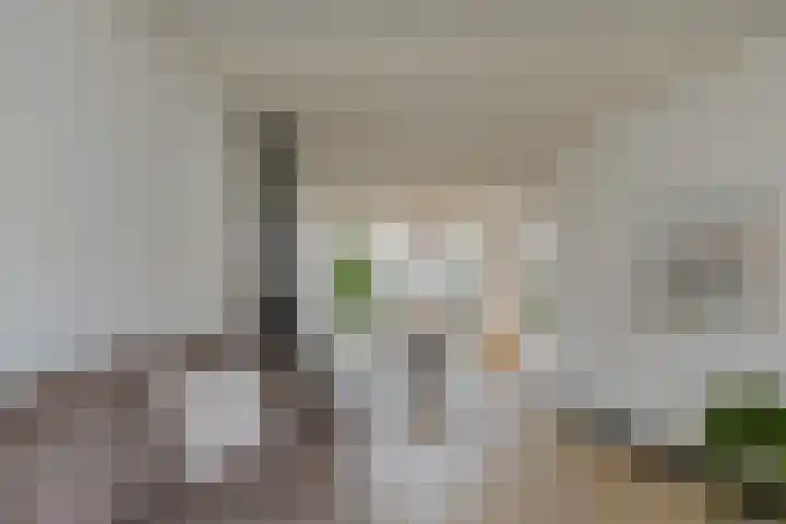 Meeuwenlaan 14 IJmuiden thumbnail 11