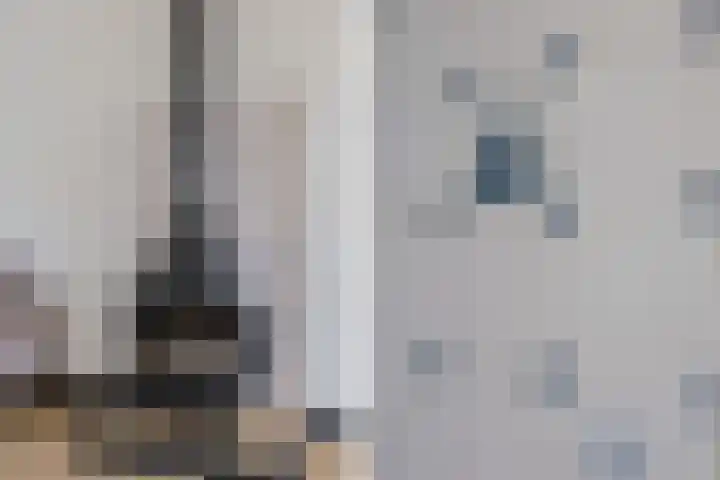 Meeuwenlaan 14 IJmuiden thumbnail 12