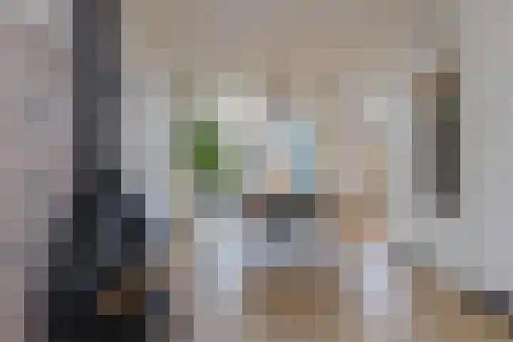 Meeuwenlaan 14 IJmuiden thumbnail 13