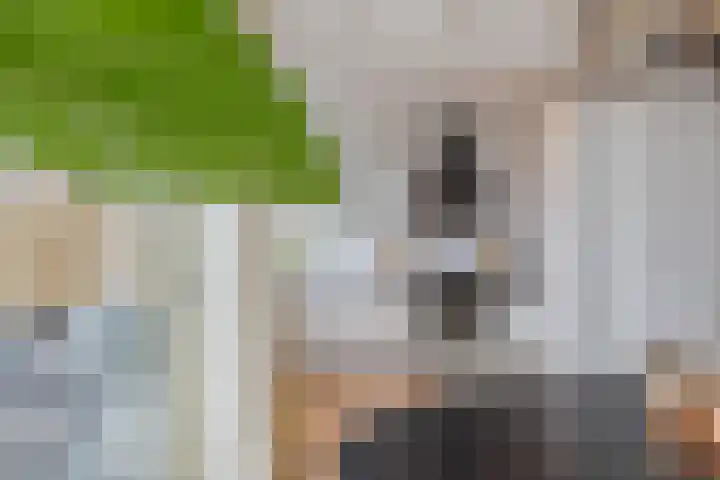 Meeuwenlaan 14 IJmuiden thumbnail 14