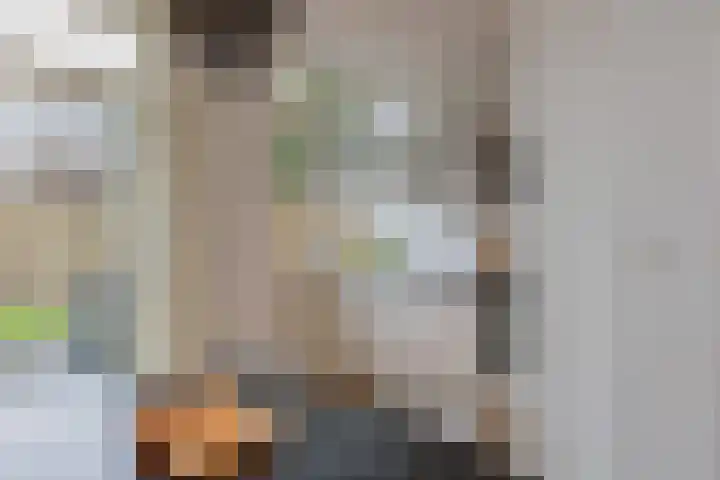 Meeuwenlaan 14 IJmuiden thumbnail 15