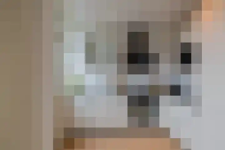 Meeuwenlaan 14 IJmuiden thumbnail 16
