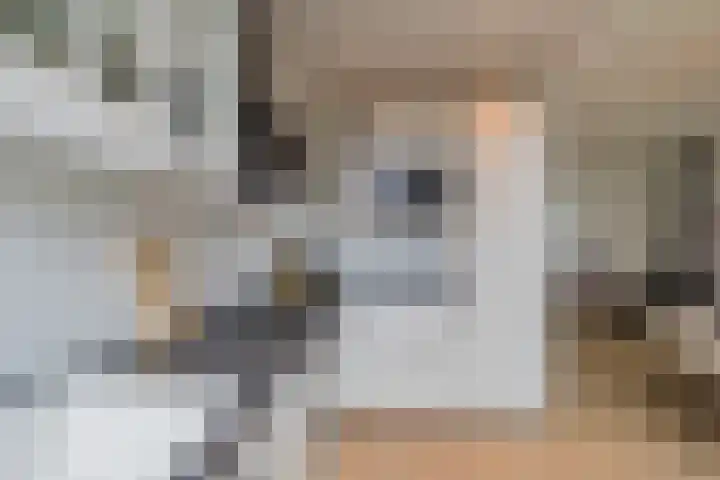 Meeuwenlaan 14 IJmuiden thumbnail 17