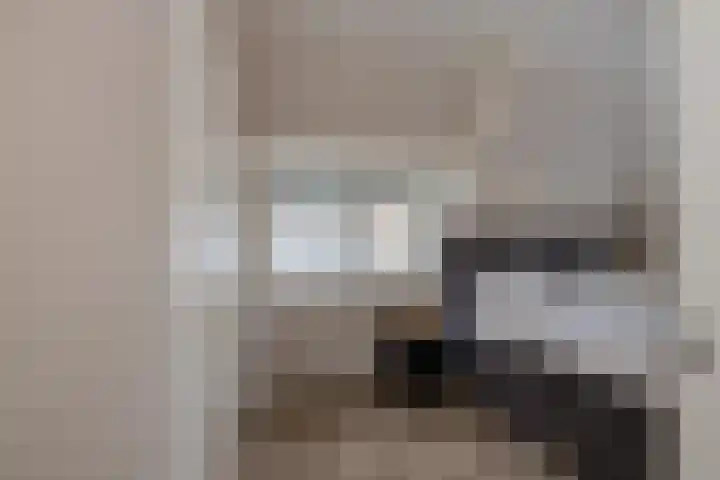 Meeuwenlaan 14 IJmuiden thumbnail 23