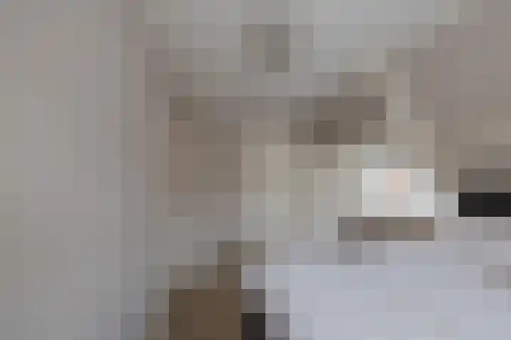Meeuwenlaan 14 IJmuiden thumbnail 24