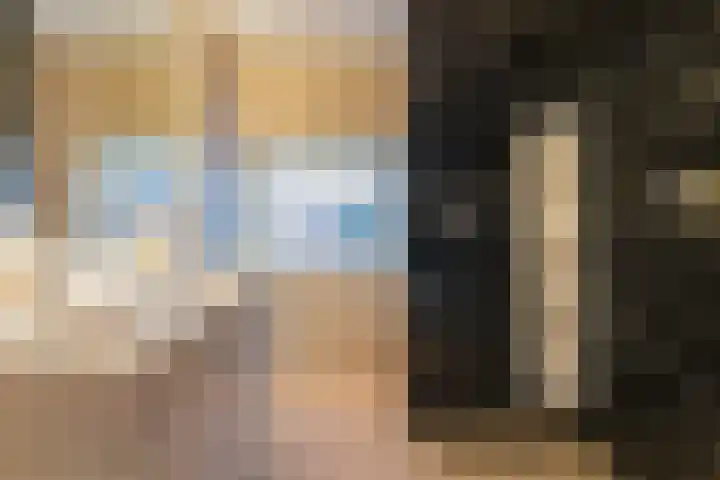 Meeuwenlaan 14 IJmuiden thumbnail 25