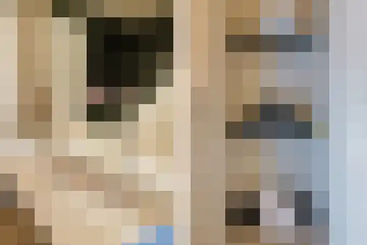 Meeuwenlaan 14 IJmuiden thumbnail 28