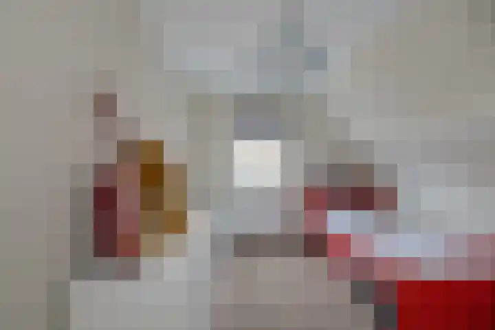 Meeuwenlaan 14 IJmuiden thumbnail 29