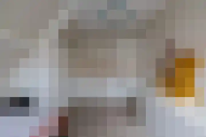 Meeuwenlaan 14 IJmuiden thumbnail 30