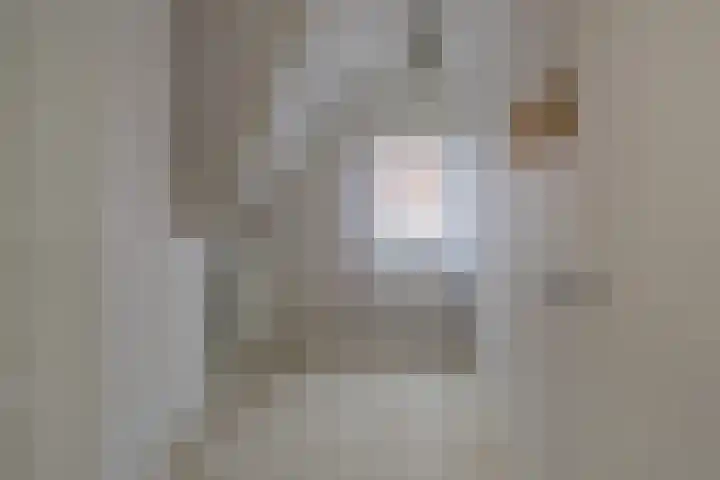 Meeuwenlaan 14 IJmuiden thumbnail 31