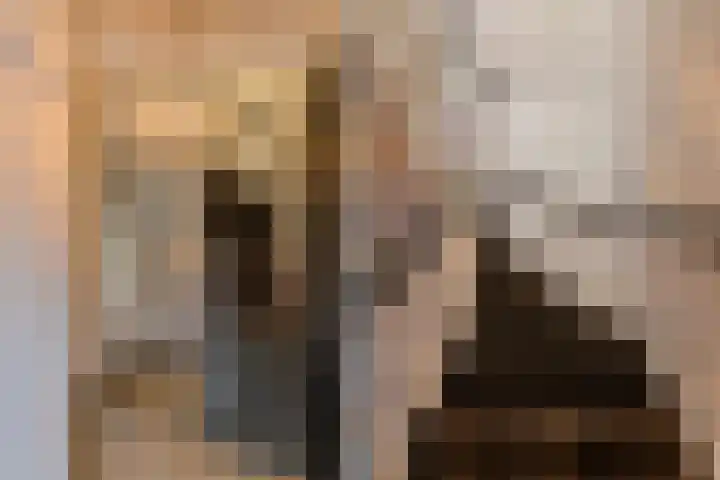 Meeuwenlaan 14 IJmuiden thumbnail 32