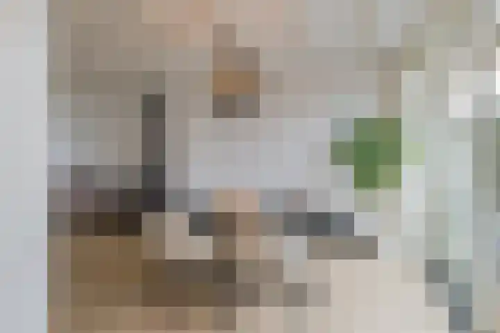 Meeuwenlaan 14 IJmuiden thumbnail 4