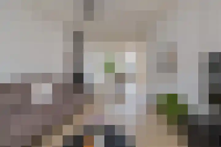 Meeuwenlaan 14 IJmuiden thumbnail 5