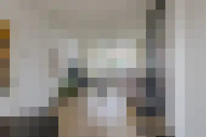 Meeuwenlaan 14 IJmuiden thumbnail 6