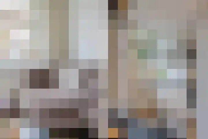 Meeuwenlaan 14 IJmuiden thumbnail 7