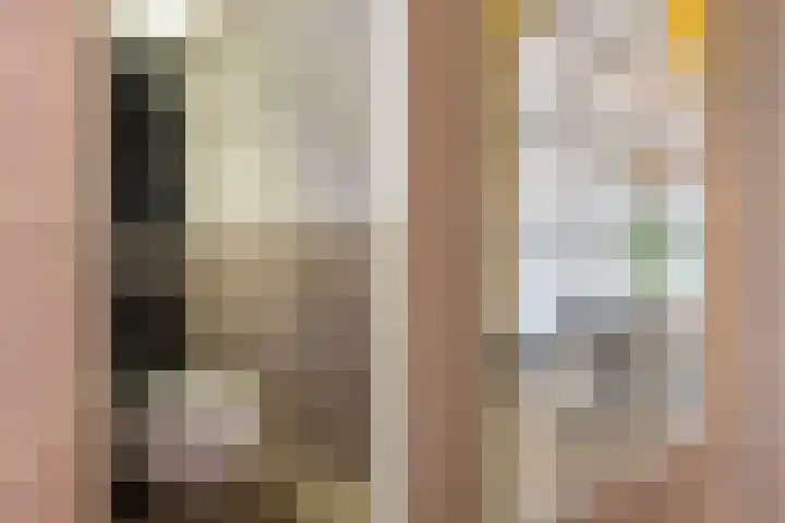 Meeuwenlaan 14 IJmuiden thumbnail 8