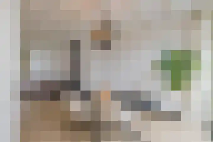 Meeuwenlaan 14 IJmuiden thumbnail 9