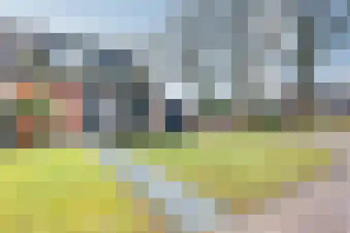 Meeuwenlaan 14 Vries