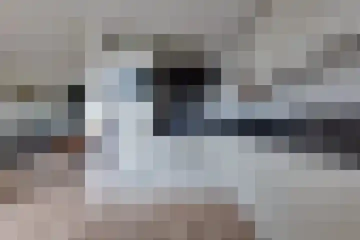 Meeuwenlaan 14 Vries thumbnail 12