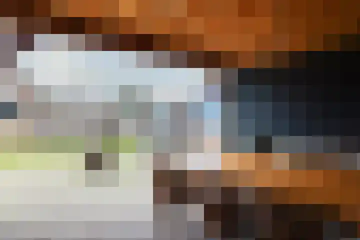 Meeuwenlaan 14 Vries thumbnail 21
