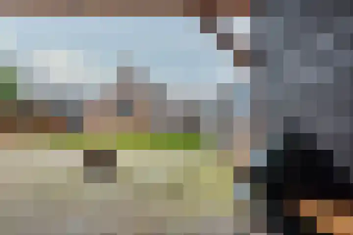 Meeuwenlaan 14 Vries thumbnail 23