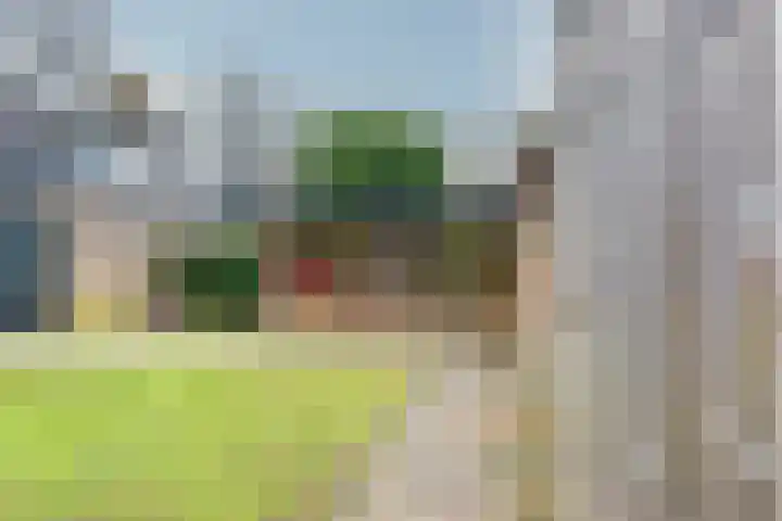 Meeuwenlaan 14 Vries thumbnail 24
