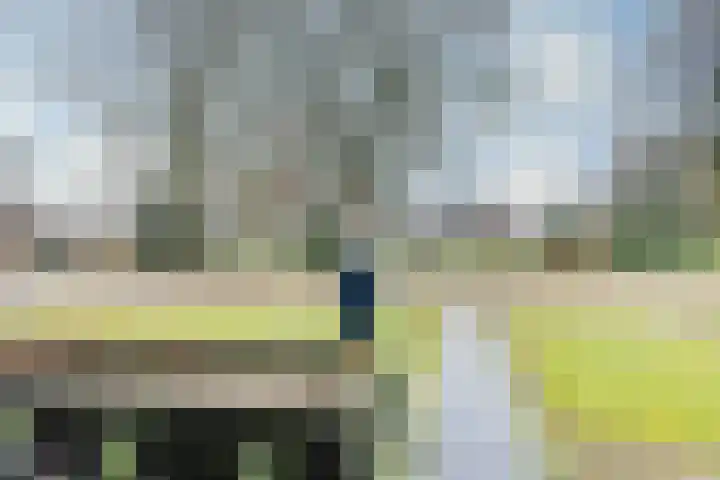 Meeuwenlaan 14 Vries thumbnail 28