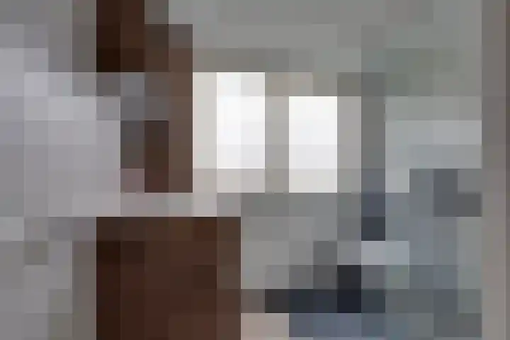 Meeuwenlaan 14 Vries thumbnail 4