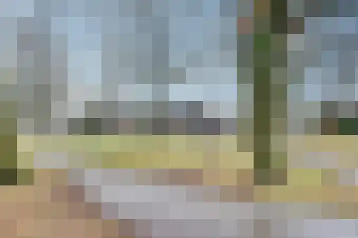 Meeuwenlaan 14 Vries thumbnail 5