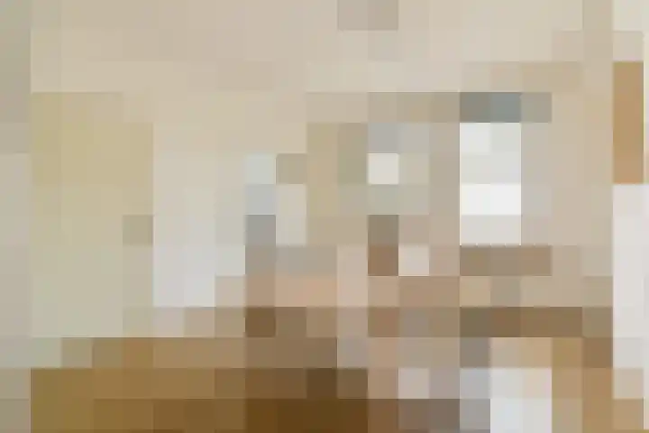 Meeuwenlaan 149 A Amsterdam thumbnail 11