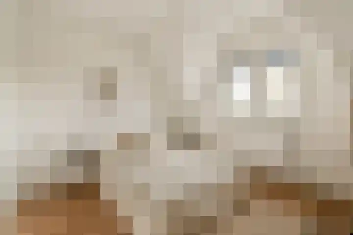 Meeuwenlaan 149 A Amsterdam thumbnail 21