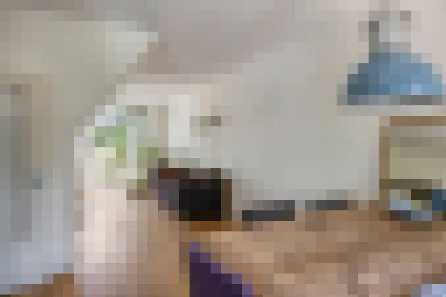 Meeuwenlaan 167 B Amsterdam thumbnail 12
