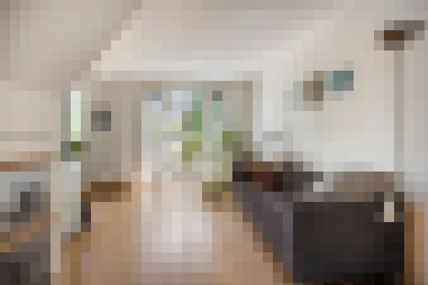 Meeuwenlaan 167 B Amsterdam thumbnail 7
