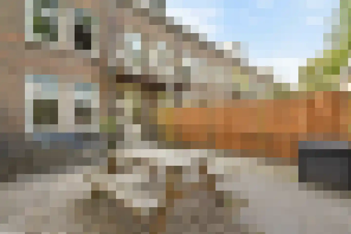 Meeuwenlaan 169 B Amsterdam thumbnail 12