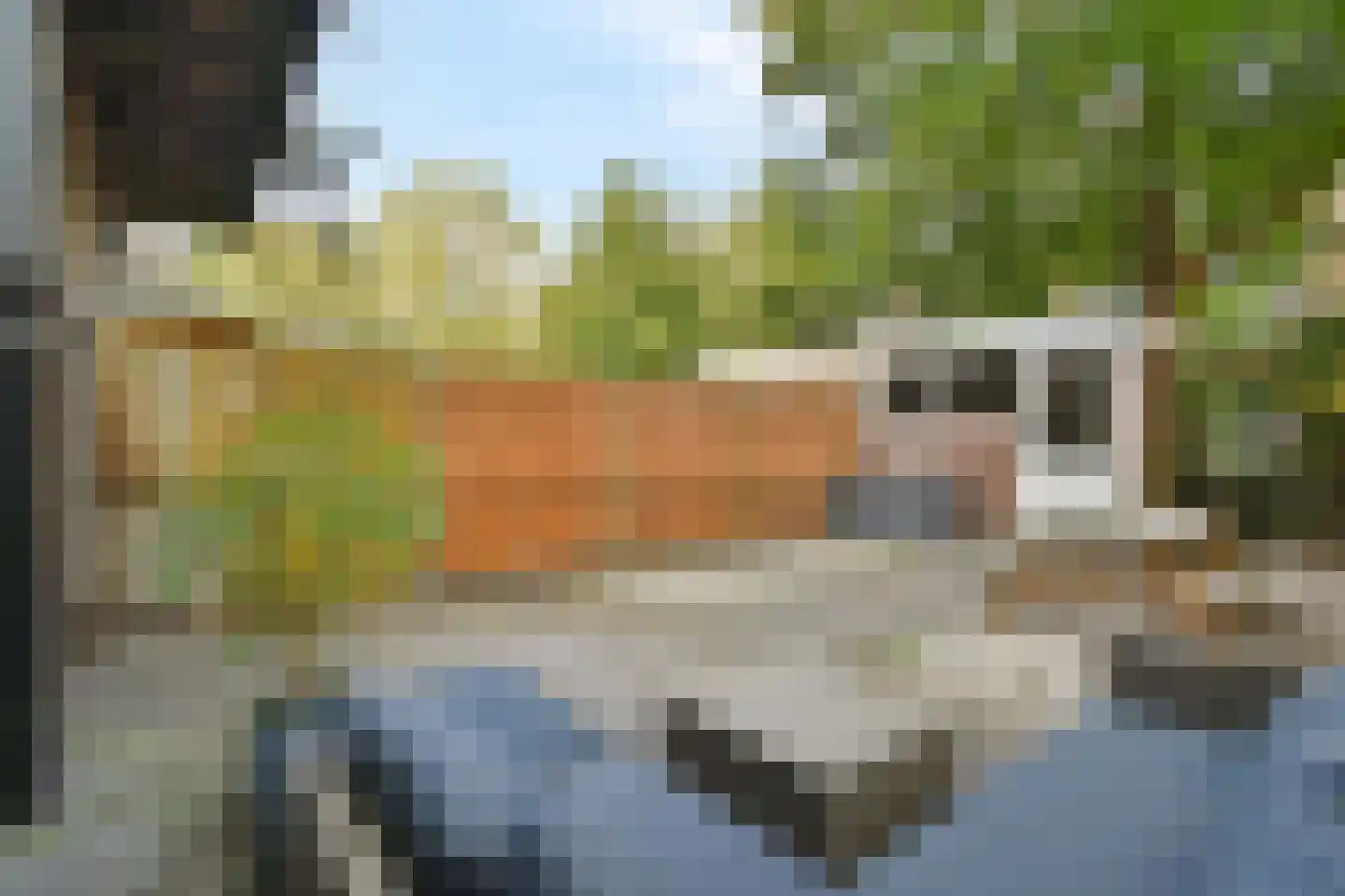 Meeuwenlaan 169 B Amsterdam thumbnail 13