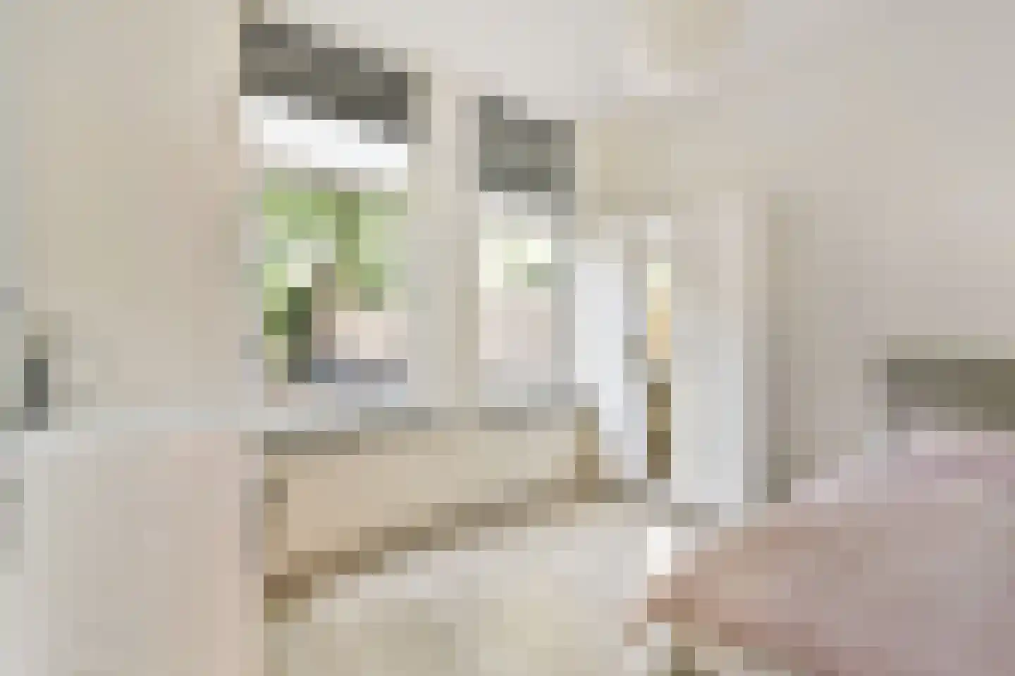 Meeuwenlaan 169 B Amsterdam thumbnail 8