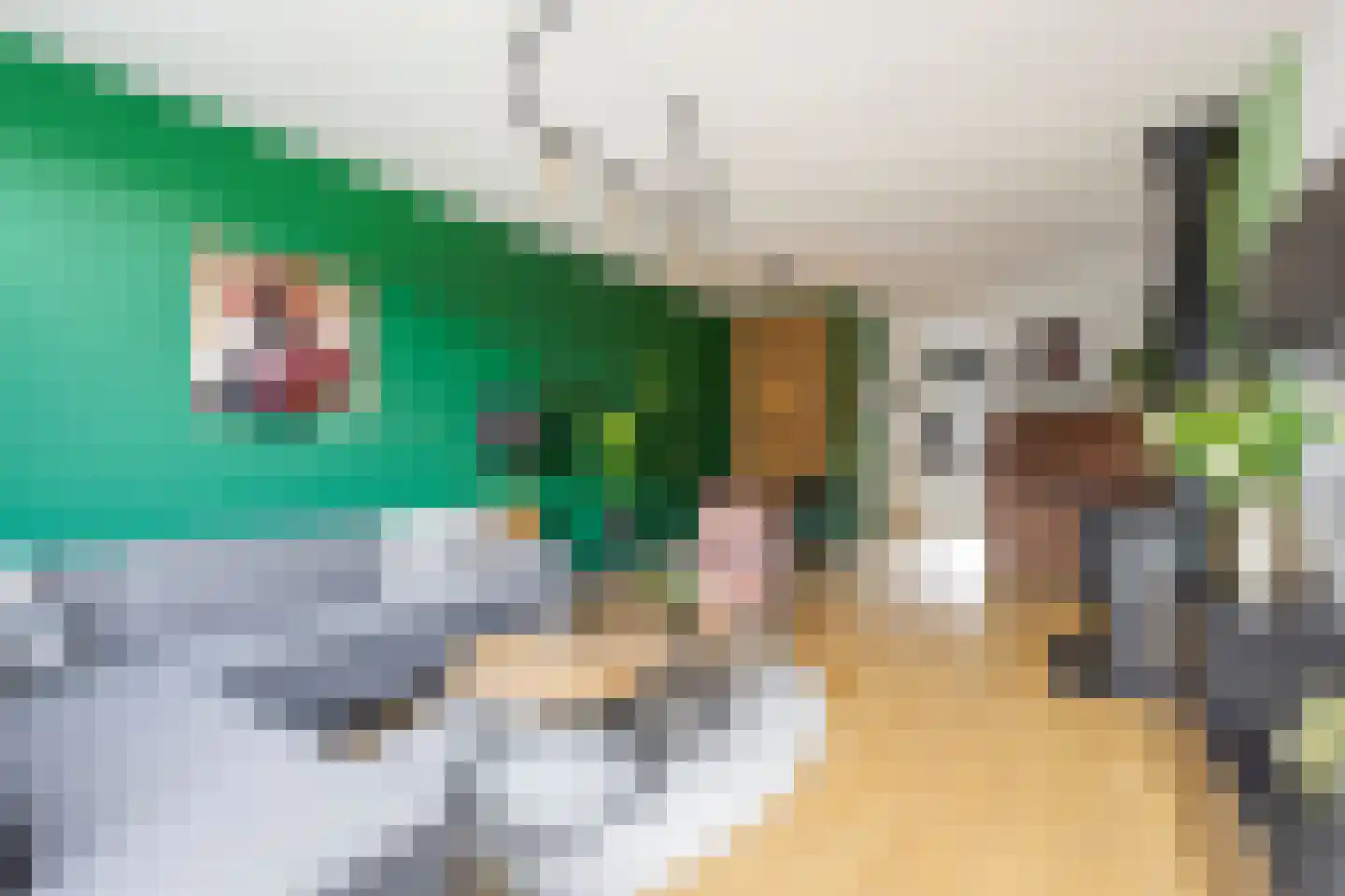 Meeuwenlaan 17 Groot-Ammers thumbnail 10