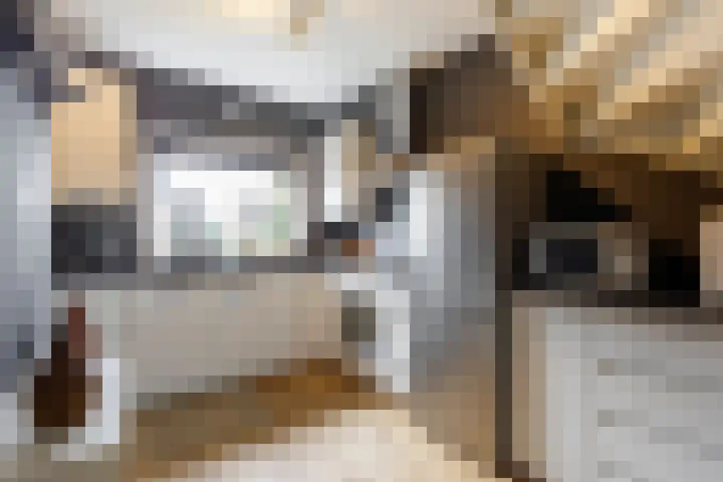 Meeuwenlaan 17 Groot-Ammers thumbnail 12