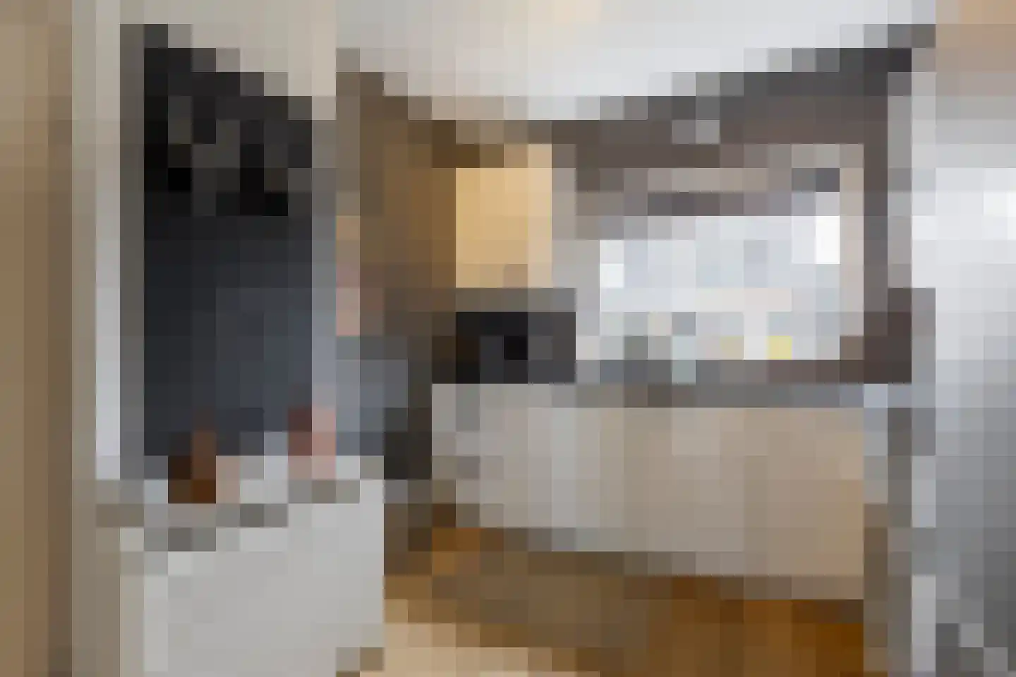 Meeuwenlaan 17 Groot-Ammers thumbnail 13