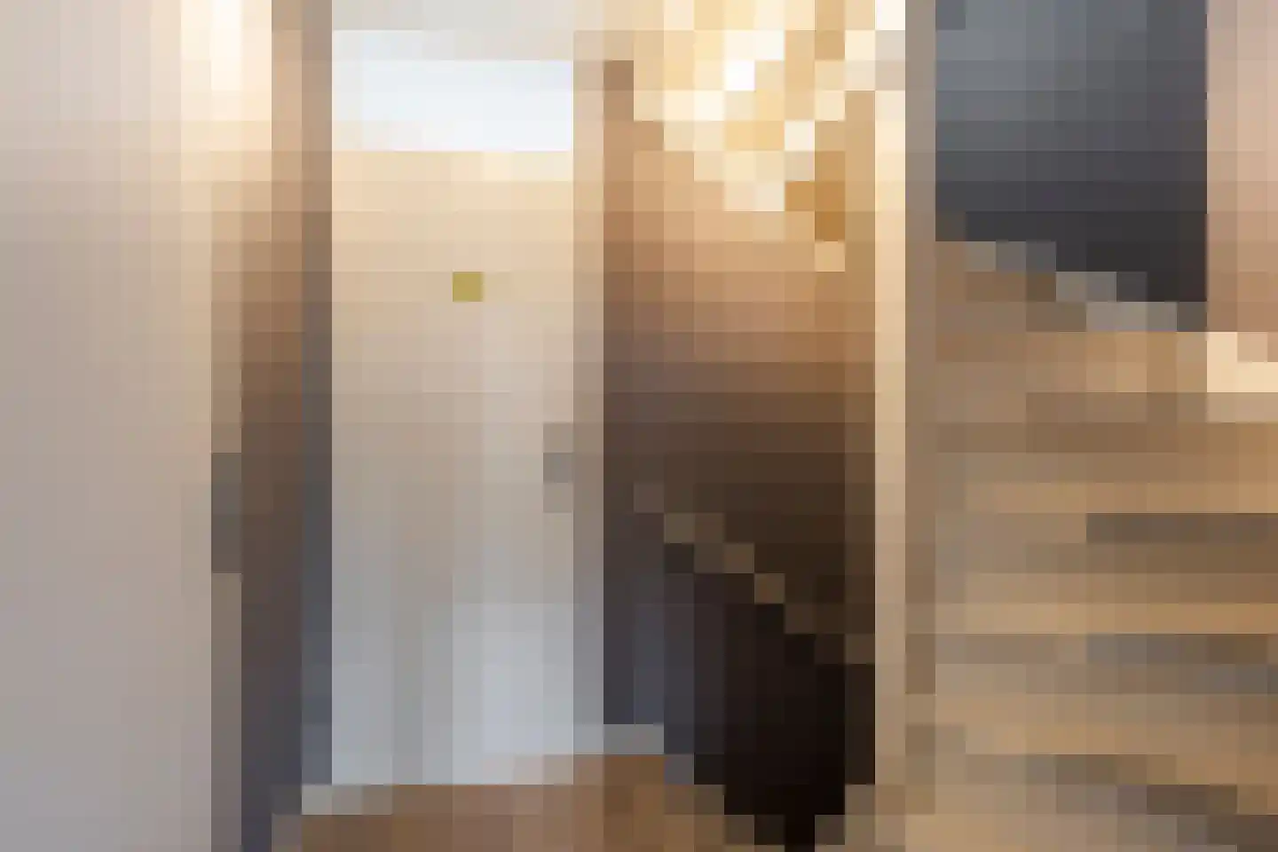 Meeuwenlaan 17 Groot-Ammers thumbnail 14