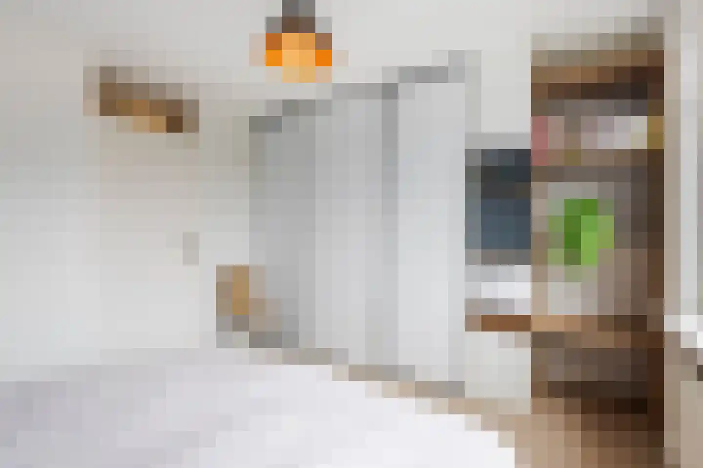 Meeuwenlaan 17 Groot-Ammers thumbnail 19