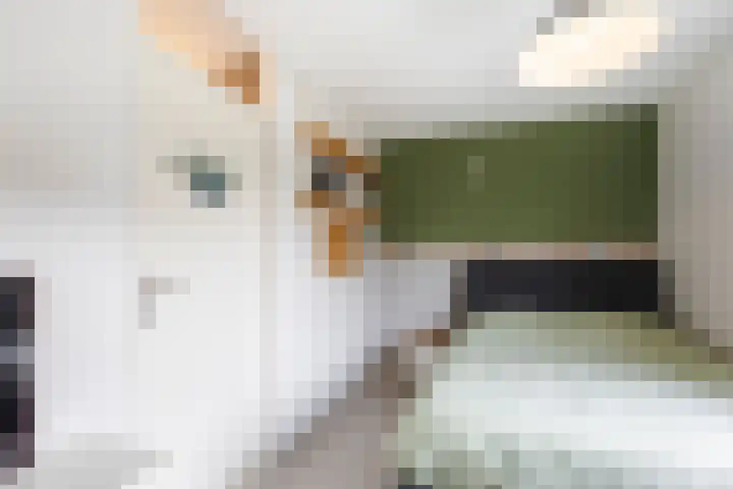Meeuwenlaan 17 Groot-Ammers thumbnail 21