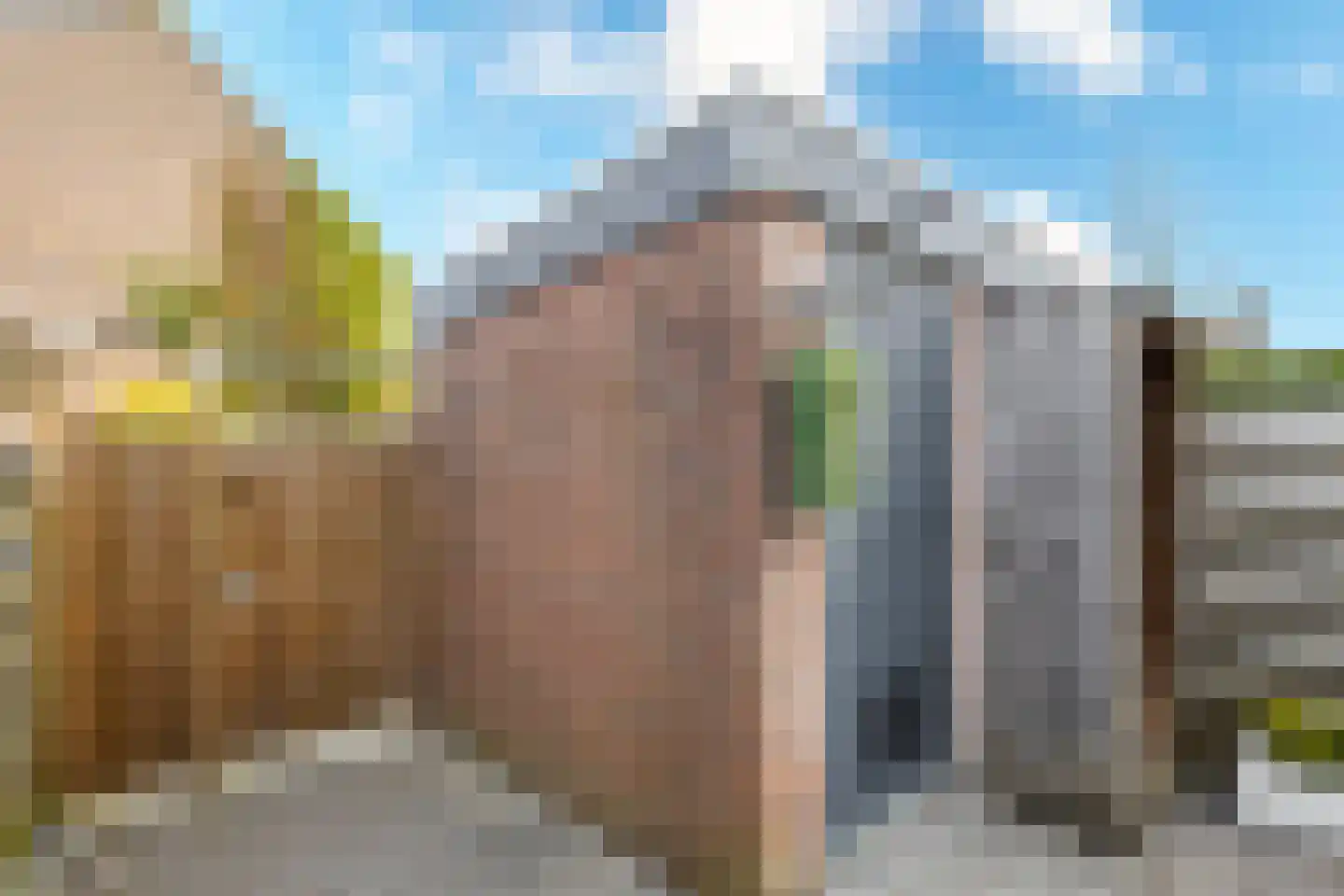 Meeuwenlaan 17 Groot-Ammers thumbnail 27